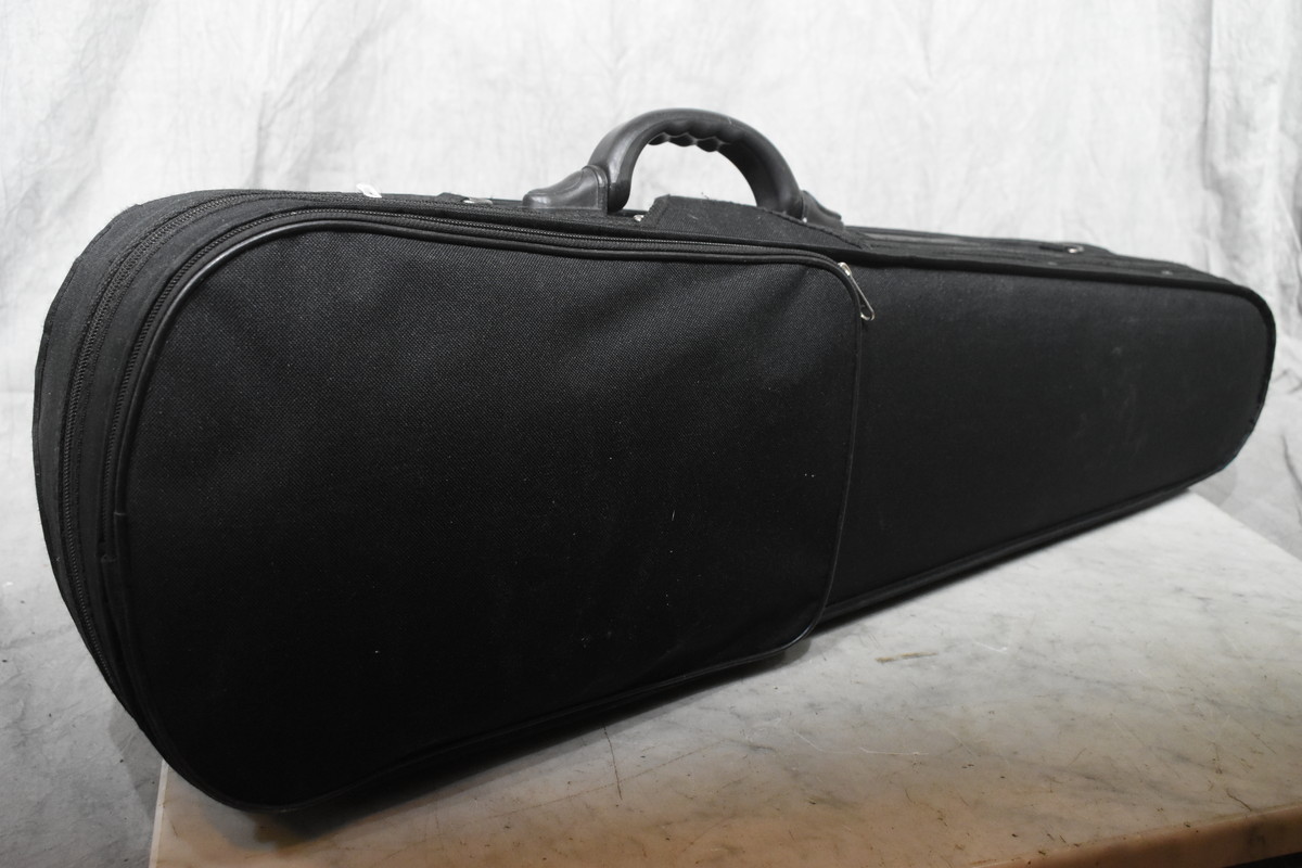 hallstatt ハルシュタット CV-210E エレキバイオリン 黒 Hallstatt