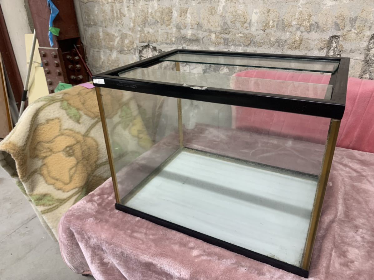 水槽 ガラス水槽 0 引き取り限定 幅60×高さ45×奥行き45センチ 60cm | 奥行 安い商品を通販サイトから探す 古代 1 金魚 水草 45cm 引取り 価格.com