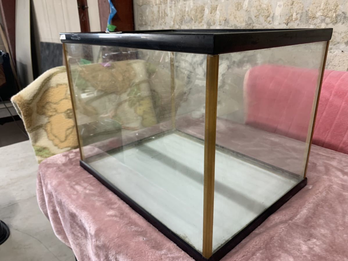 水槽 ガラス水槽 0 引き取り限定 幅60×高さ45×奥行き45センチ 60cm | 奥行 安い商品を通販サイトから探す 古代 1 金魚 水草 45cm 引取り 価格.com