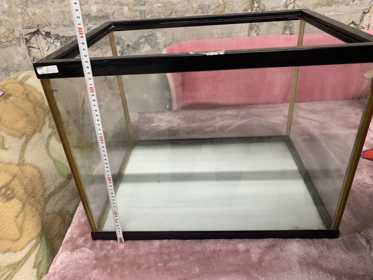 水槽 ガラス水槽 0 引き取り限定 幅60×高さ45×奥行き45センチ 60cm | 奥行 安い商品を通販サイトから探す 古代 1 金魚 水草 45cm 引取り 価格.com