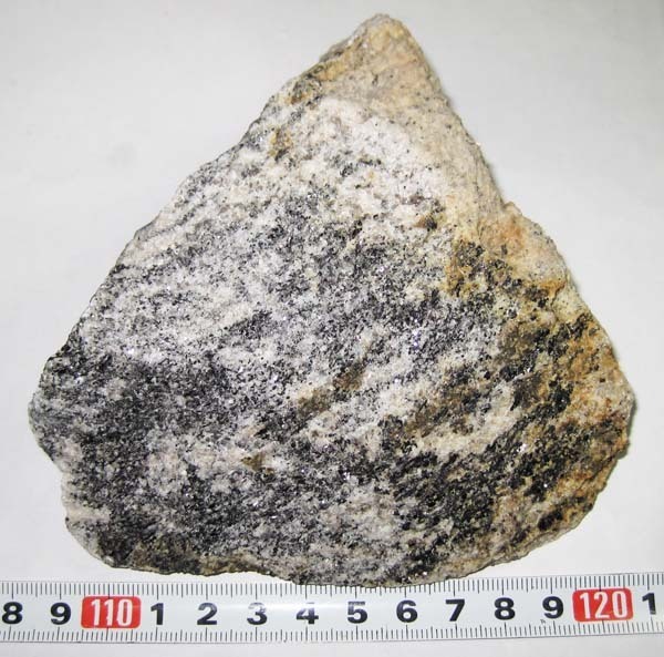 南極の石/石英長石質片麻岩 約698g(岩石、鉱物)｜売買された 