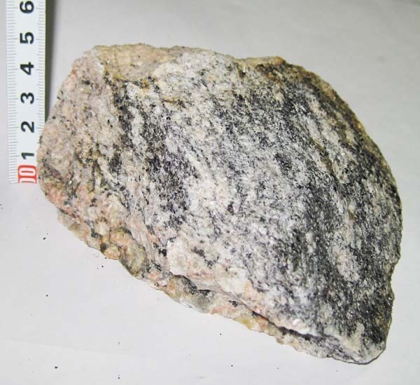 南極の石/石英長石質片麻岩 約698g(岩石、鉱物)｜売買された 