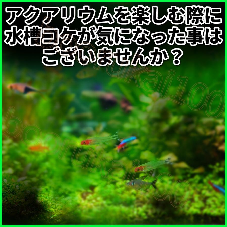 水槽 コケ取り スクレーパー 替え刃 セット 汚れ 掃除 苔 藻 スクレイパー アクアリウム プロレイザー アルミ プラスチック 苔取り プラ 清掃用具 売買されたオークション情報 Yahooの商品情報をアーカイブ公開 オークファン Aucfan Com