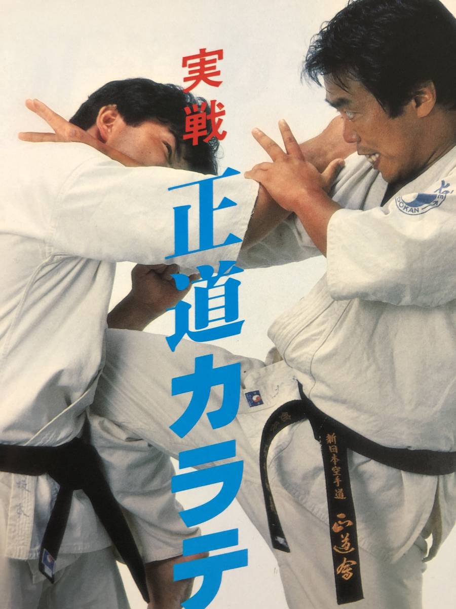 中山猛夫 芦原英幸 公式通販 正道会館 サバキ 第一回全長版 石井和義