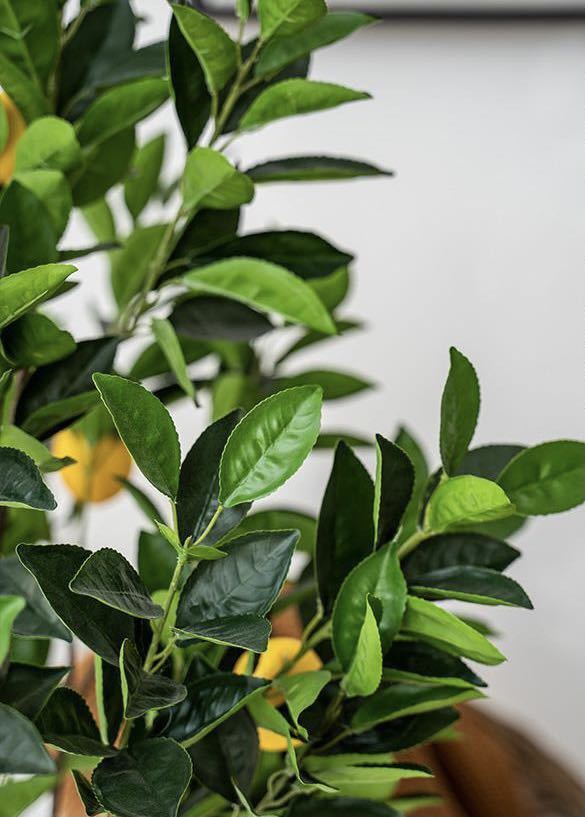 ☆観葉植物☆ 造花 レモンの木 檸檬 全高約130㎝ フェイクグリーン