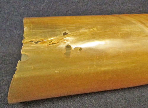 江戸期　水牛製 張形　秘具　奥女中御用達品　江戸性風俗　検　歌麿危な絵春画浮世絵艶絵枕絵秘画_9