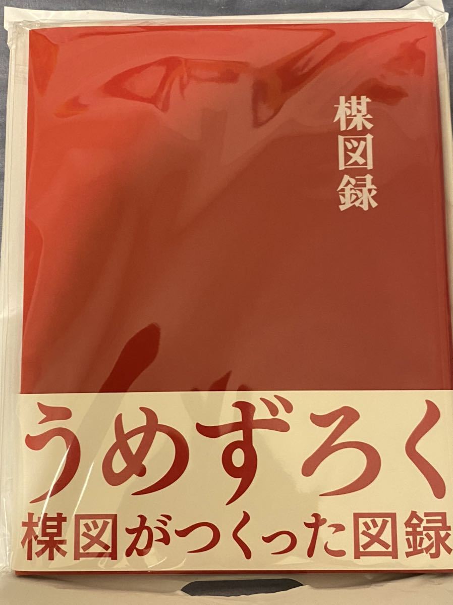 楳図かずお 大美術展 うめずろく 会場限定 図録 UMEZZROKU まこと