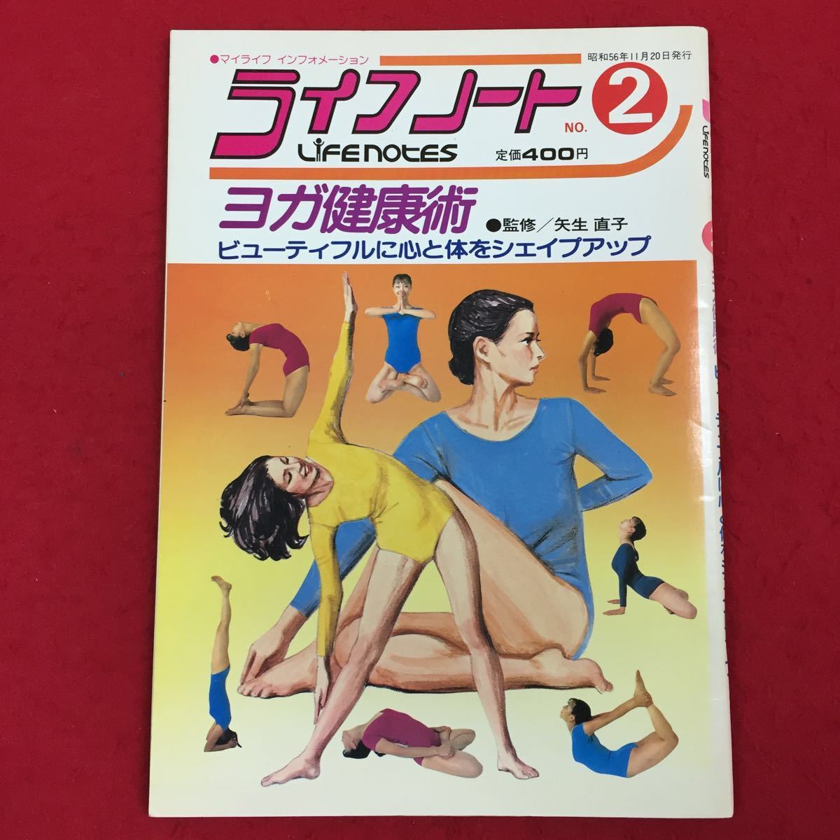 下肢から診る身体の機能構造 Yamamoto Ken yamamoto ken DVD YAMAMOTO