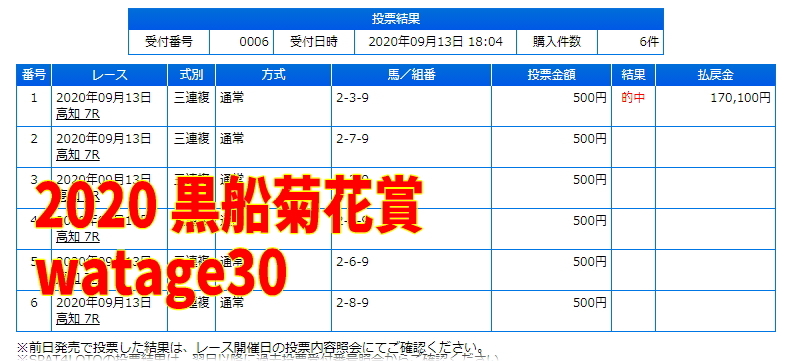 専用　 2セット 競馬 マニュアル JRA オッズ買い 簡単3ステップ 地方競馬 一生使える