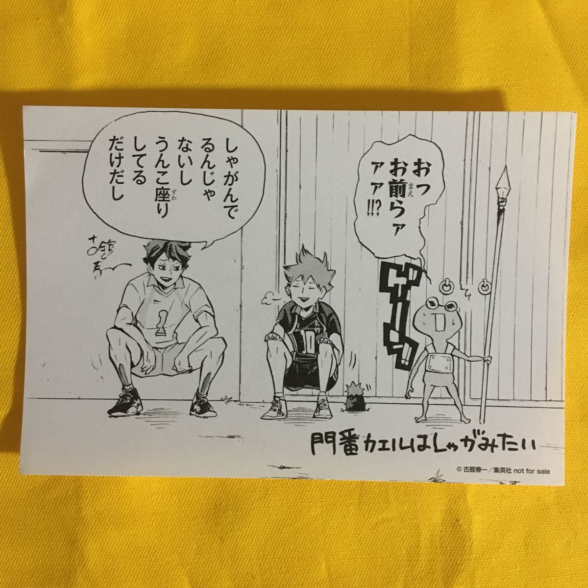 ハイキュー コミック特典 イラスト 日向翔陽 及川徹 管理m1072 その他 売買されたオークション情報 Yahooの商品情報をアーカイブ公開 オークファン Aucfan Com
