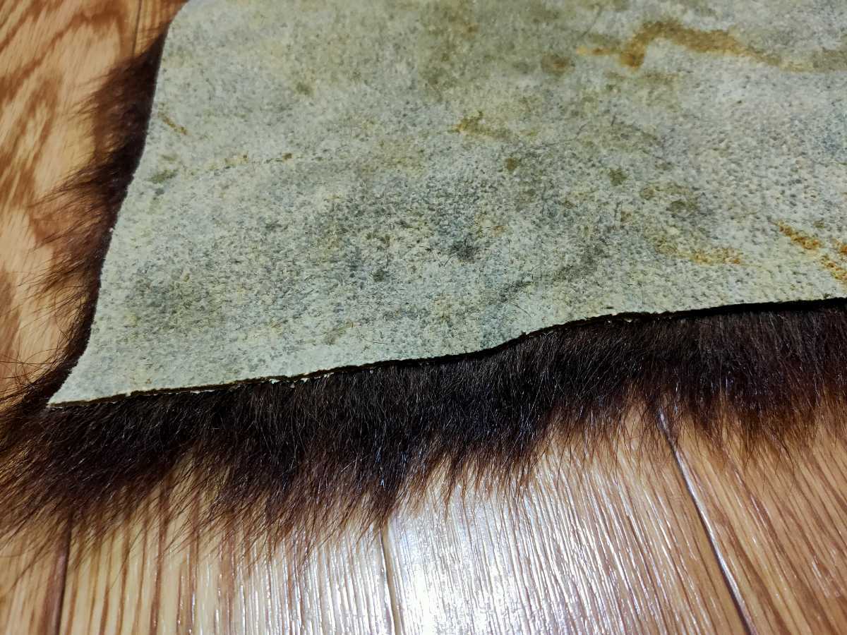 ○マタギ○ヒグマの尻皮⑦ クマ 尻当て 尻あて (鹿 熊 羆 腰あて 腰