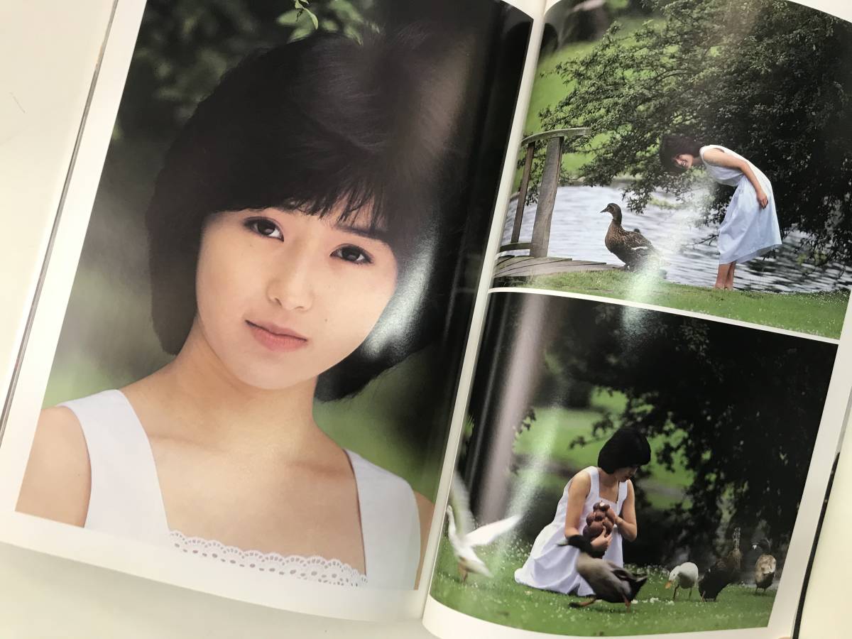 近代映画社 写真集 酒井法子 LOVELY TIMES Noriko Sakai in EUROPEの