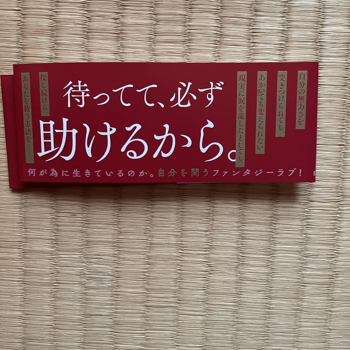 ｂ６サイズ シュルスの魔女 ６巻 最新刊 小田原みづえ 女性 売買されたオークション情報 Yahooの商品情報をアーカイブ公開 オークファン Aucfan Com