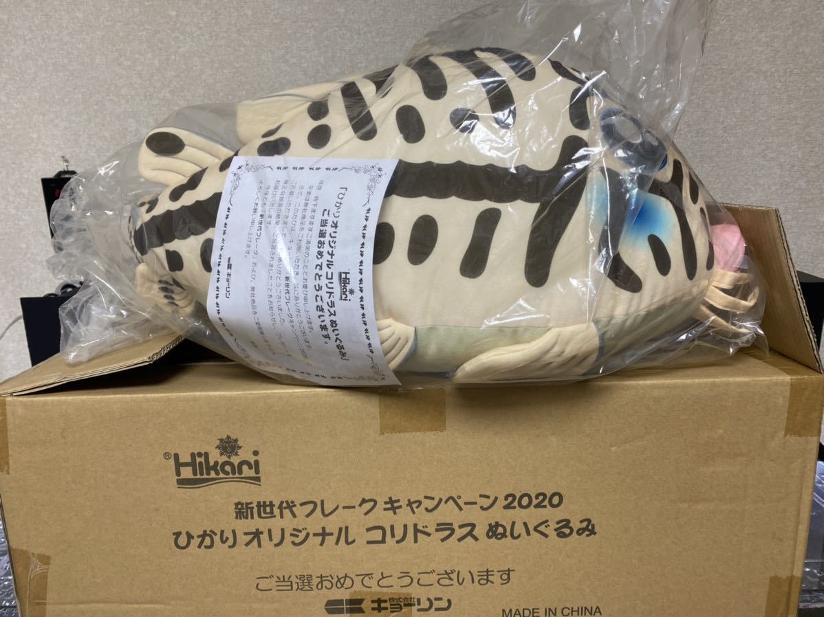コリドラス キョーリン 次世代フレークキャンペーン2020 ひかり