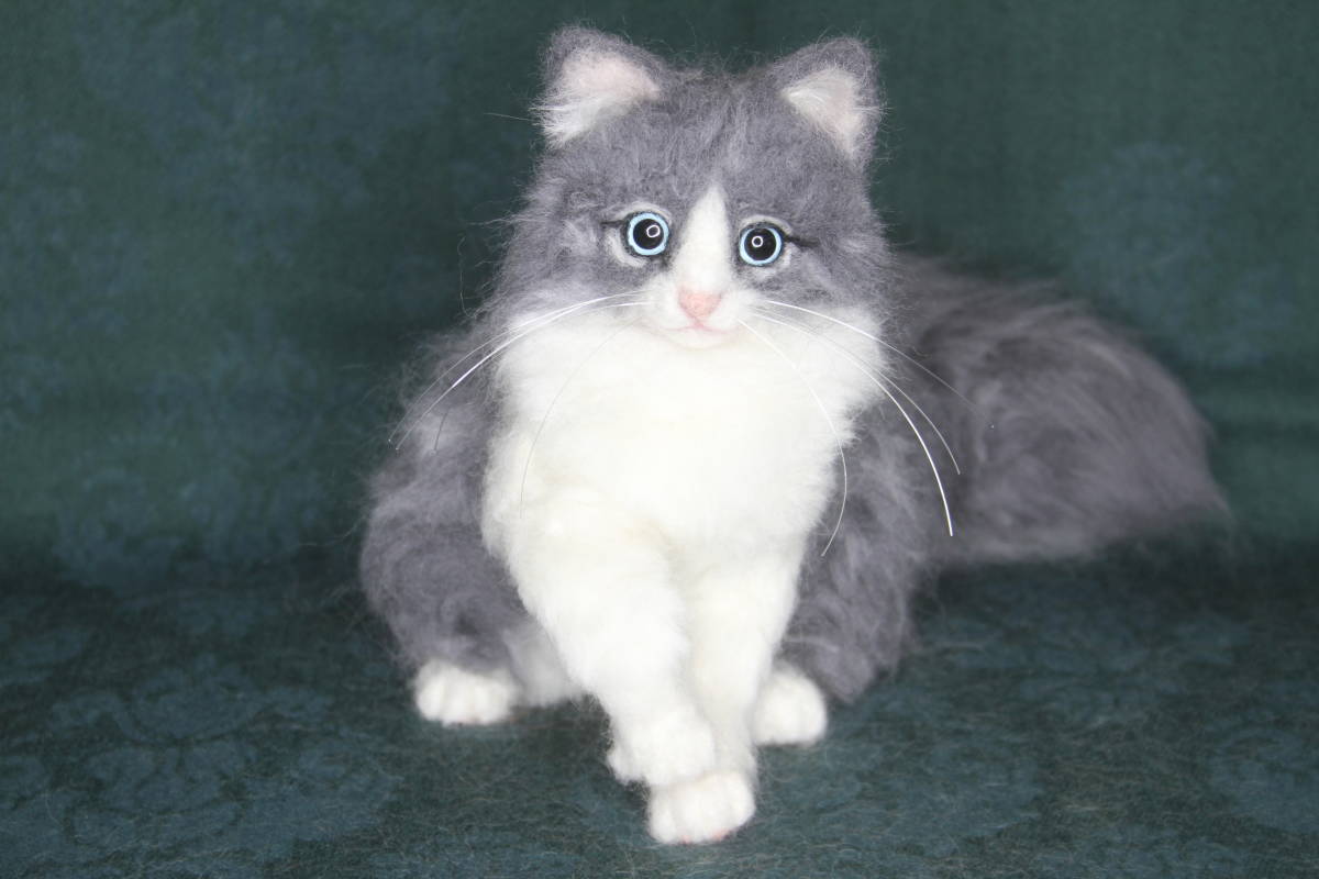 羊毛フェルト 猫 スコティッシュストレート ブルーアイ 羊毛フェルト 売買されたオークション情報 Yahooの商品情報をアーカイブ公開 オークファン Aucfan Com 羊毛フェルト 猫 スコティッシュストレート ブルーアイ 羊毛フェルト 売買されたオークション情報 Yahooの商品情報をアーカイブ公開 オークファン Aucfan Com