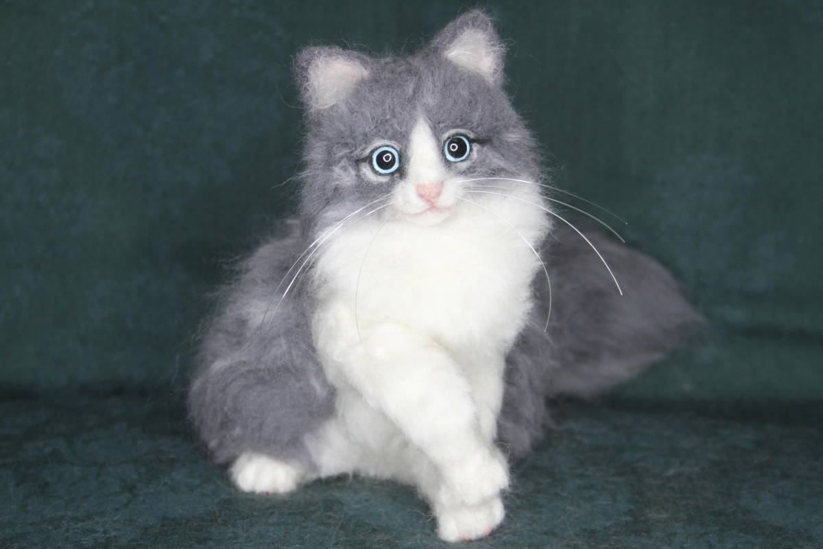 羊毛フェルト 猫 スコティッシュストレート ブルーアイ 羊毛フェルト 売買されたオークション情報 Yahooの商品情報をアーカイブ公開 オークファン Aucfan Com 羊毛フェルト 猫 スコティッシュストレート ブルーアイ 羊毛フェルト 売買されたオークション情報 Yahooの商品情報をアーカイブ公開 オークファン Aucfan Com
