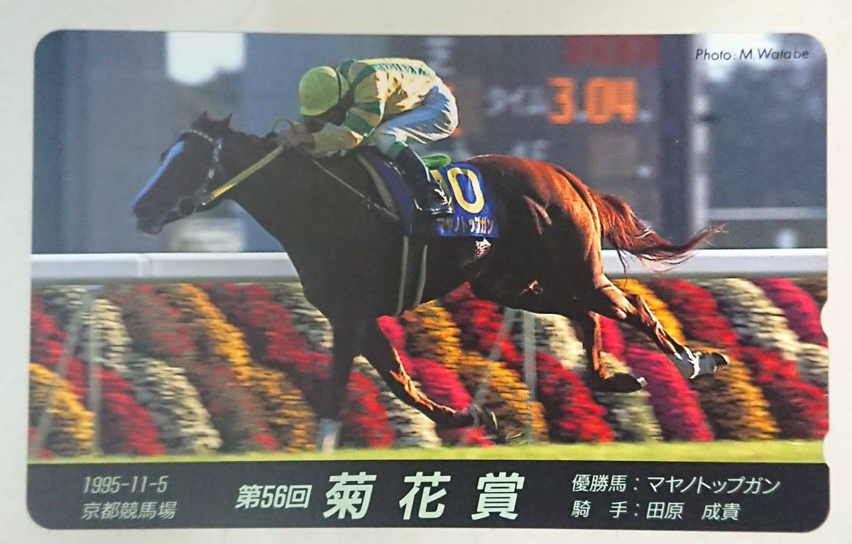 競馬 マヤノトップガン 菊花賞 優勝記念ブルゾン