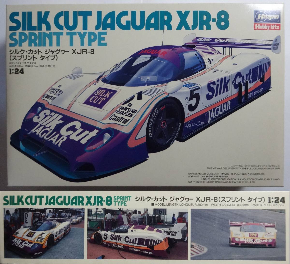 貴重な箱絵♪ハセガワ 1/24 シルク・カット ジャガー/ジャグヮー XJR-8 