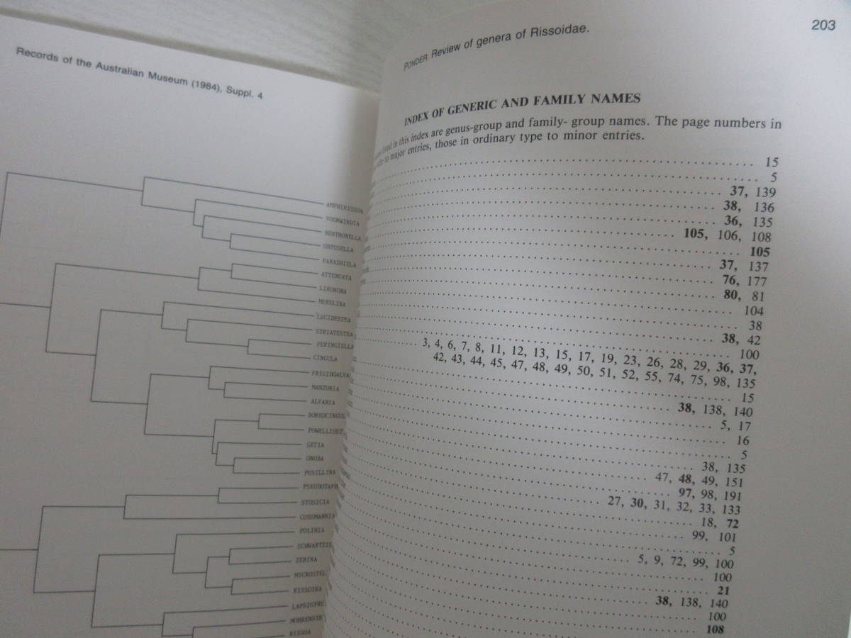 洋書 Records Of The Australian Musium Rissoidae リソツボ科 貝類学 巻貝 軟体動物 中腹足類 オーストラリア博物館の記録 生物学 売買されたオークション情報 Yahooの商品情報をアーカイブ公開 オークファン Aucfan Com