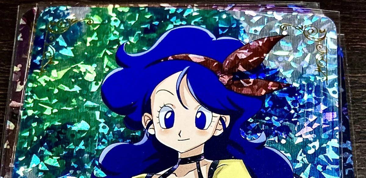 ドラゴンボール メイド セクシーカード 9枚フル(ドラゴンボール