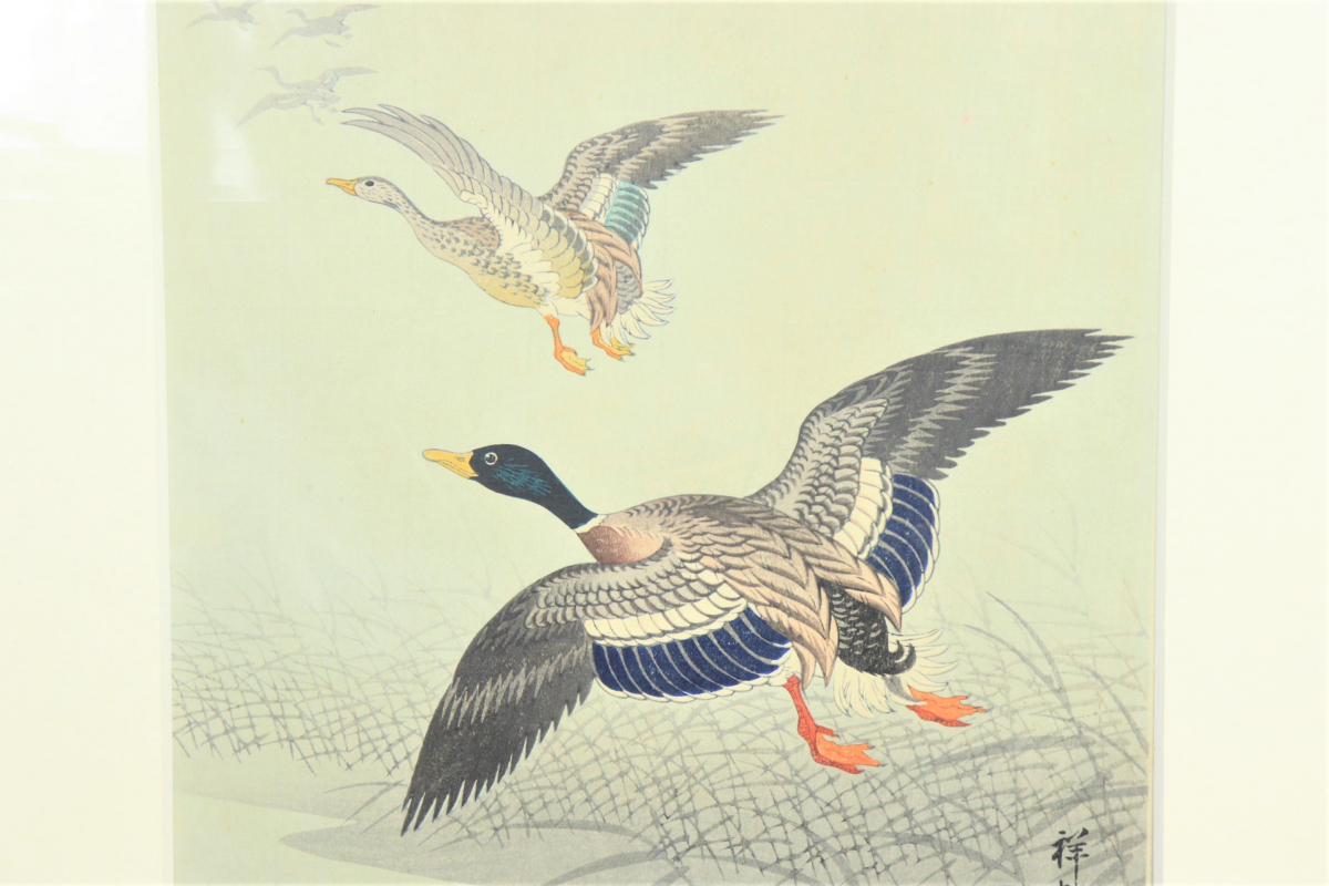 小原古邨「水辺につがいの真鴨」木版画 連載企画「新版画－もうひとつ