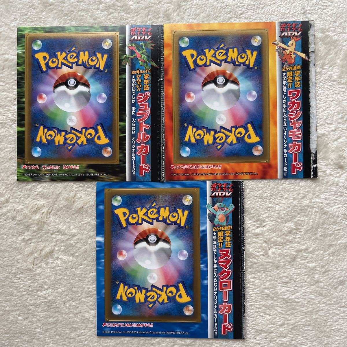 ポケモンカード ADV 学年誌限定プロモ ジュプトル ワカシャモ