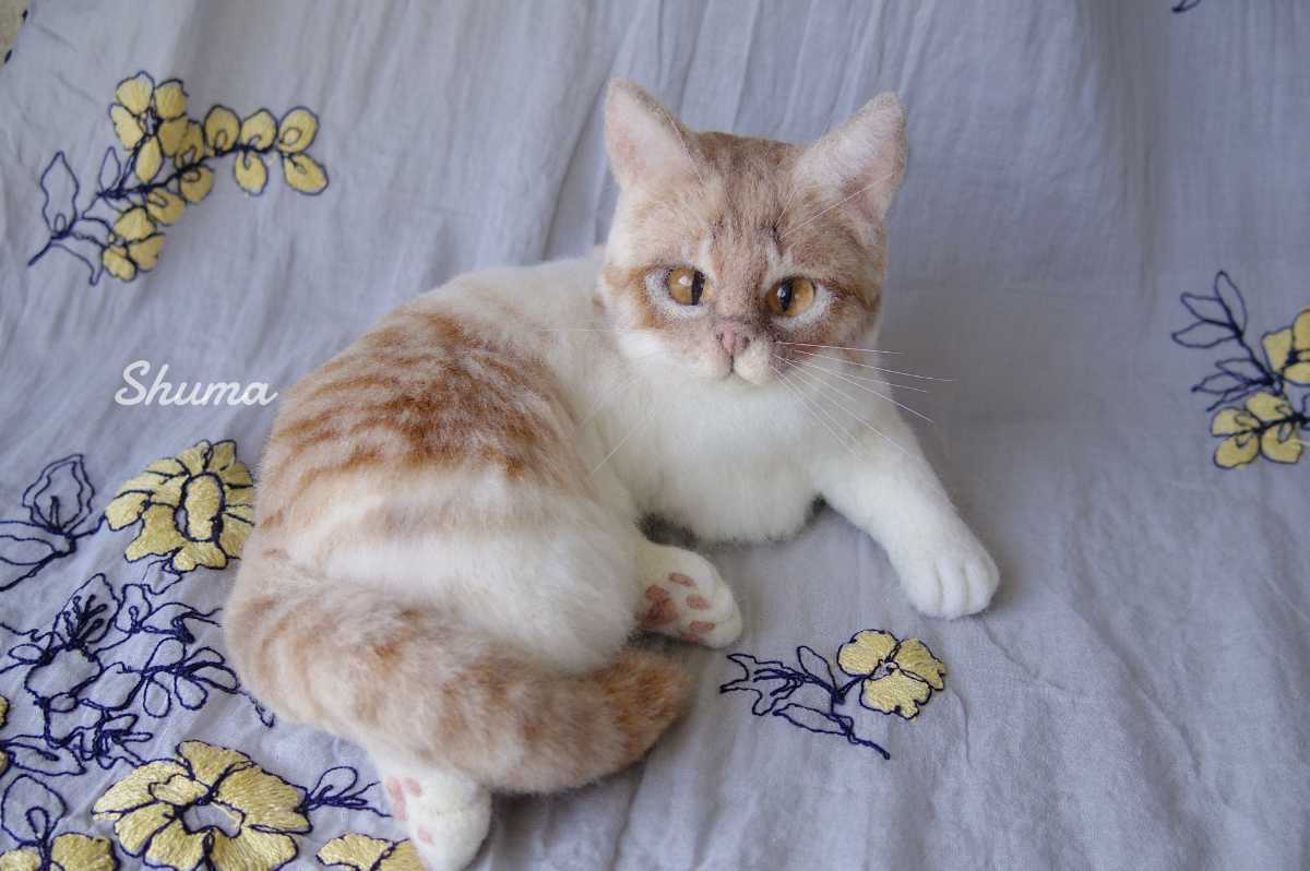shuma 羊毛フェルト マンチカン 茶白 猫 ハンドメイド ねこ ネコ 子猫