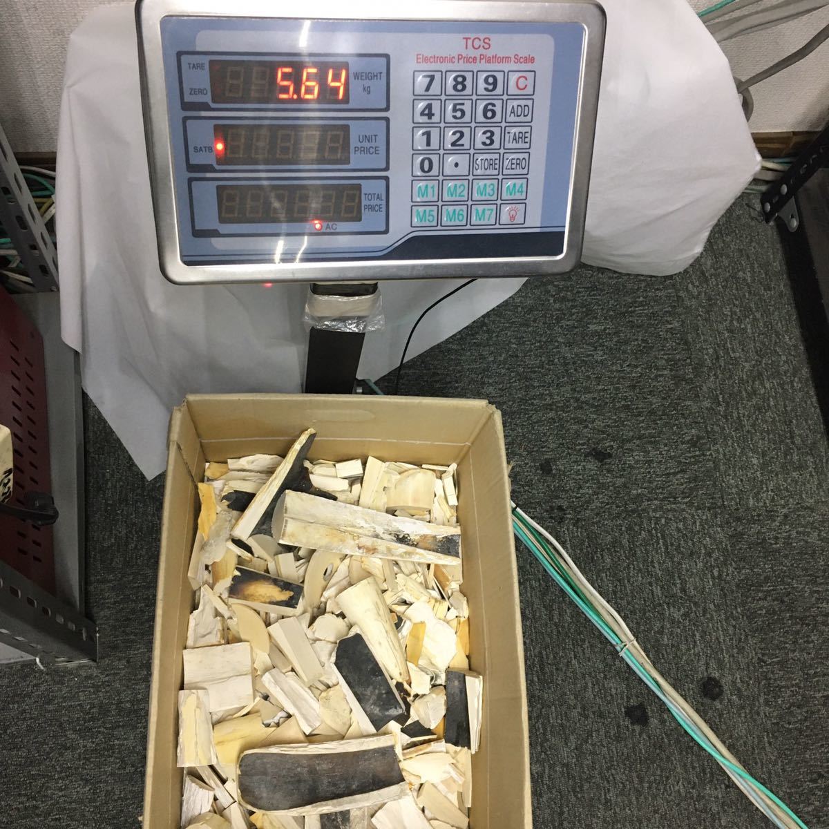 象牙風　象牙色　　柄　素材　　　　　　　送料無料【5キロ以上】　まとめ《ha_5k》 時代物 EF555 木彫「恵比寿大黒天像」一対 一角獣・根付・輪切り・スパイラル・イッカク・鯨・提げ物 ウニコール D4FFD8