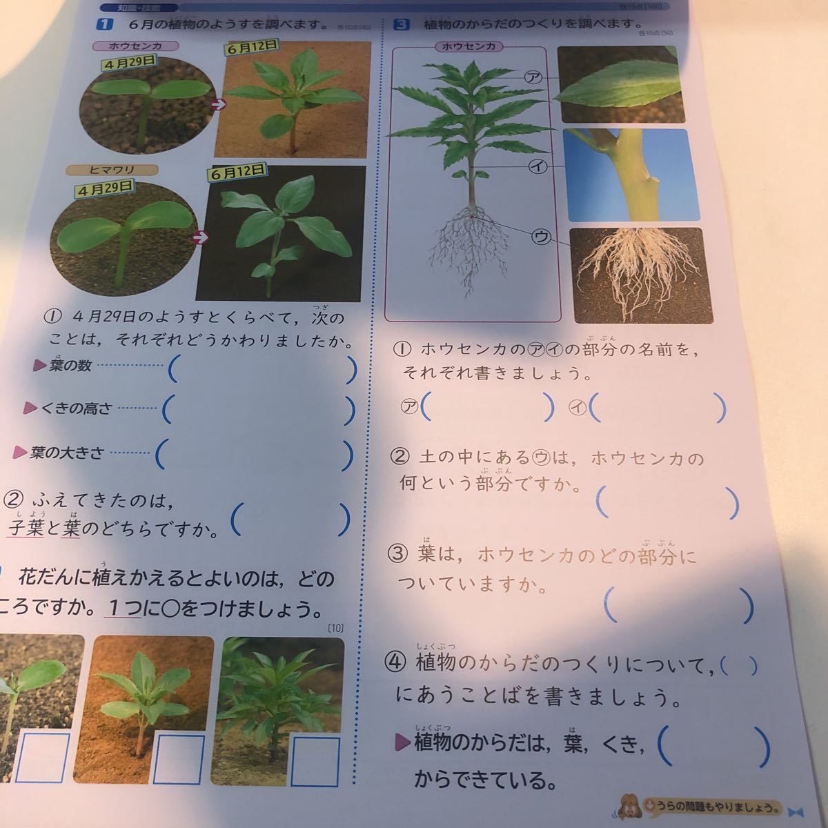 Y23 386 理科v 3年生 ドリル テスト プリント 予習復習 国語 算数 理科 社会 英語 家庭科 家庭学習 非売品 光文書院 ひまわり先生 小学校 売買されたオークション情報 Yahooの商品情報をアーカイブ公開 オークファン Aucfan Com