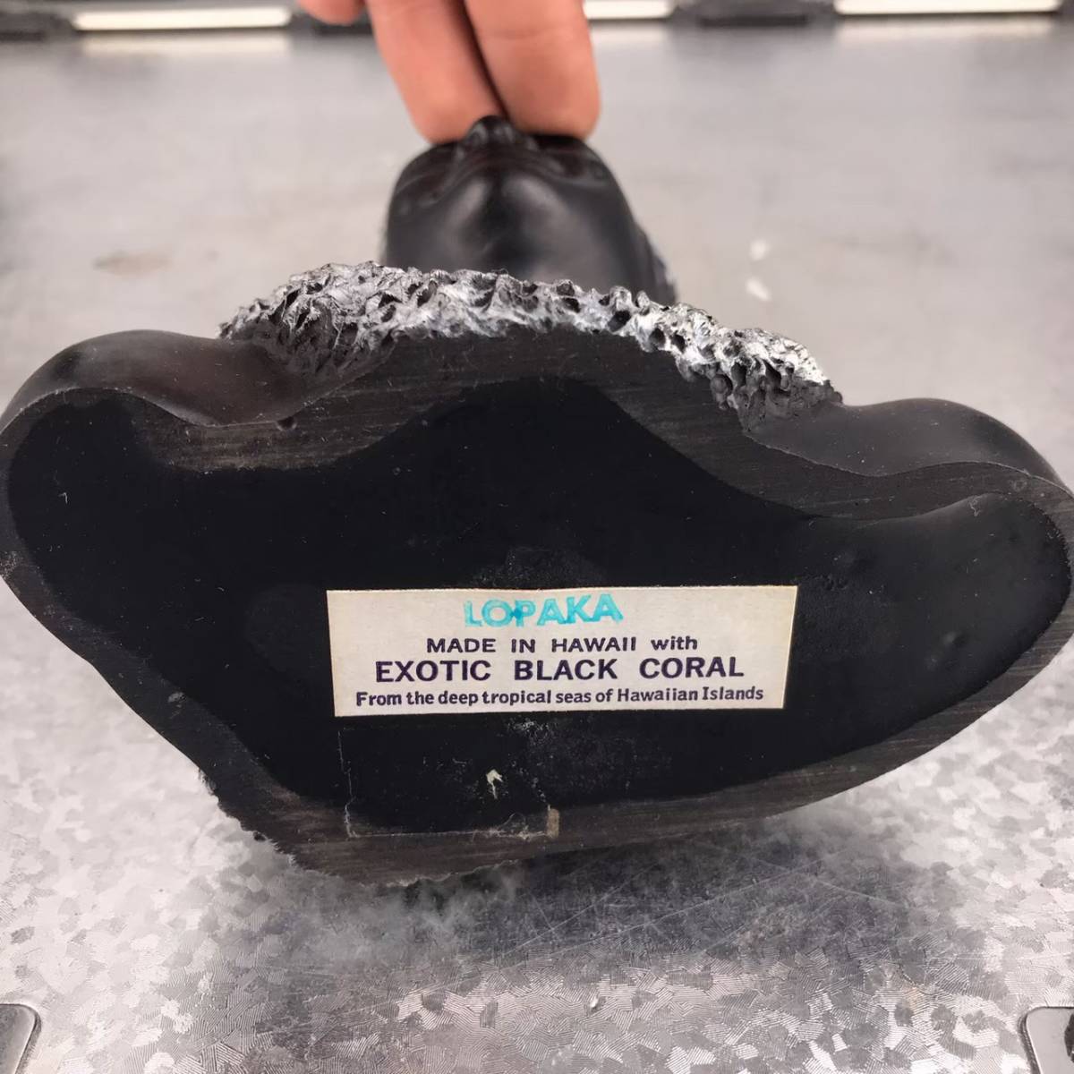P5 BLACK CORAL ブラックコーラル 黒 珊瑚 エキゾチック オブジェ 黒
