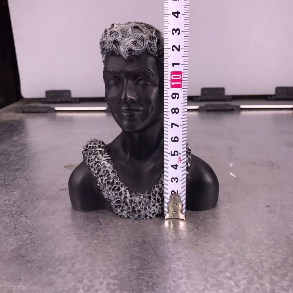 P5 BLACK CORAL ブラックコーラル 黒 珊瑚 エキゾチック オブジェ 黒