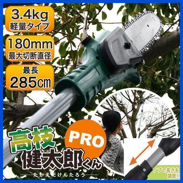 電動高枝切りチェーンソー「高枝健太郎くんPRO」コードレス 充電式 