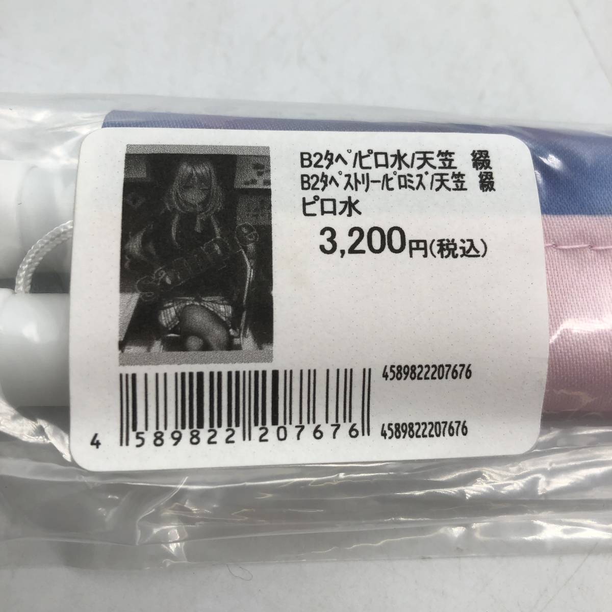 軸中心派 ピロ水 はにかみ彼女 天笠綴 B2タペストリー 未開封 
