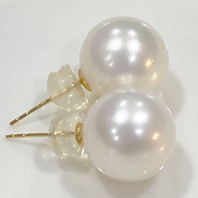 ピアス K18 天然 南洋ゴールデンパール 18金 南洋真珠 | ピアス11mm