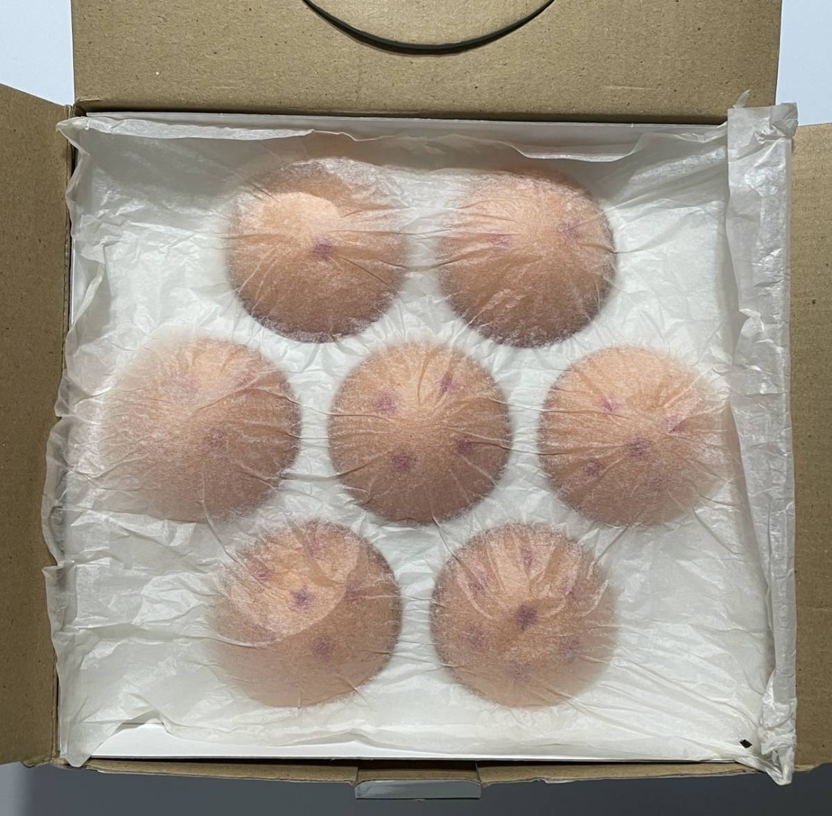 ドラゴンボールカプセル クライシス編 彩色全種セット 箱 ミニブック付 