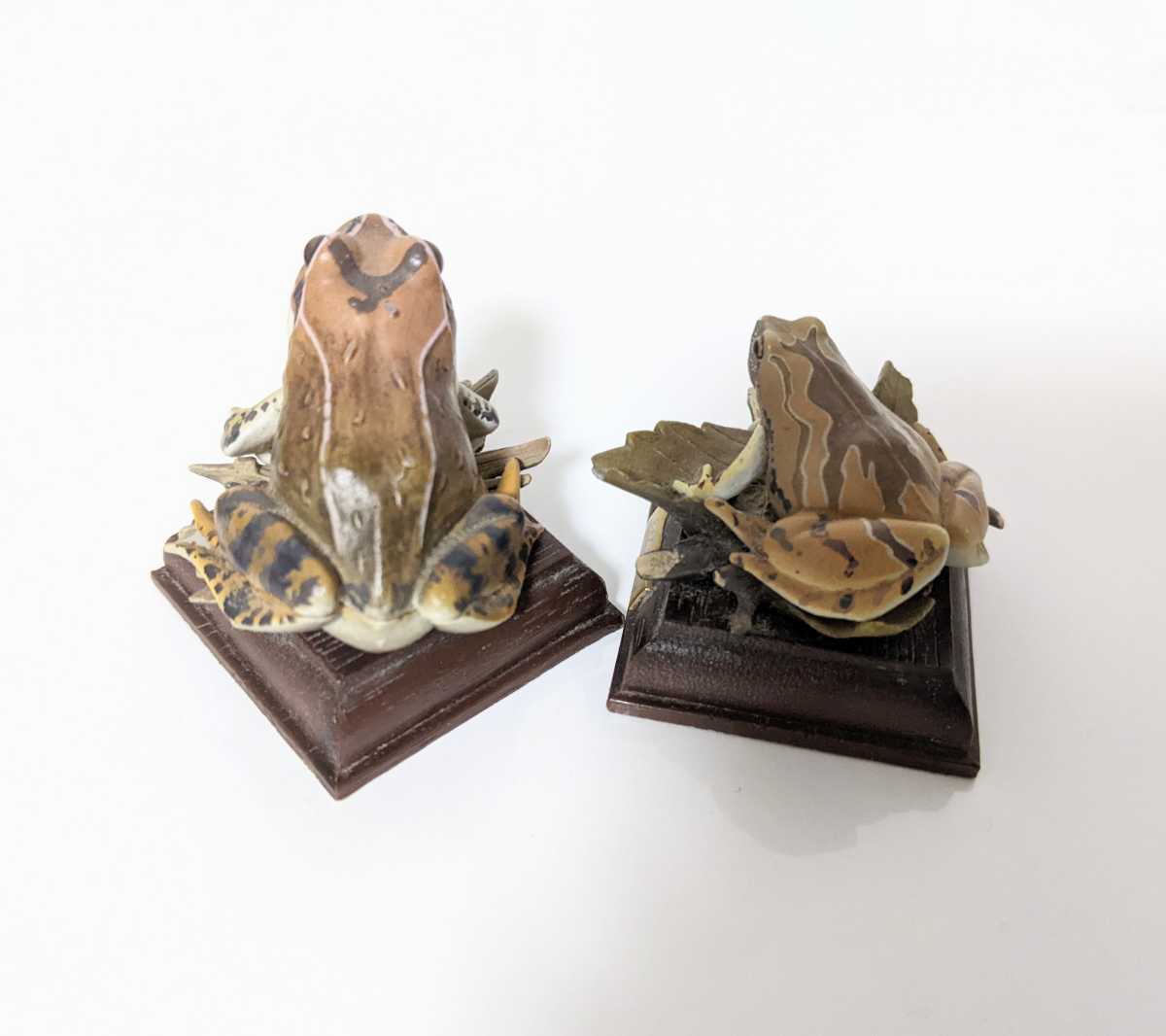 ネイチャーテクニカラー 奇譚クラブ 日本のカエル ヒメアマガエル エゾアカガエル 生き物 売買されたオークション情報 Yahooの商品情報をアーカイブ公開 オークファン Aucfan Com