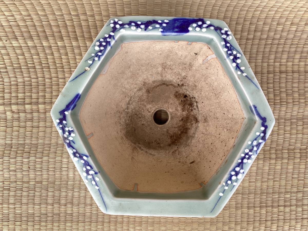 97 盆栽 盆栽鉢 植木鉢 中国鉢 【公式通販】