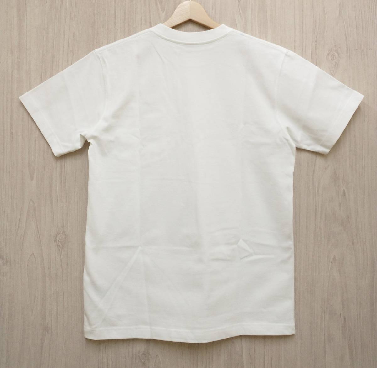 美品 2020AW Dior HOMME ディオールオム STUSSY ステューシー コラボ 