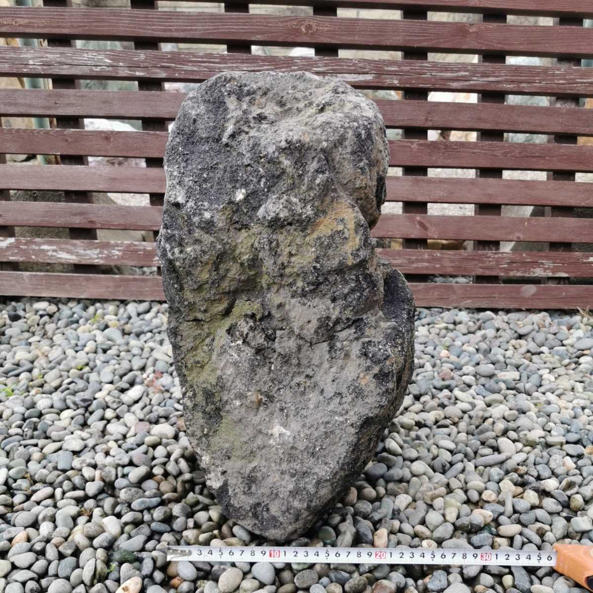 浅間溶岩石15.7キロ 庭石鑑賞石石盆石水石灯籠庭坪庭盆栽ガーデニング