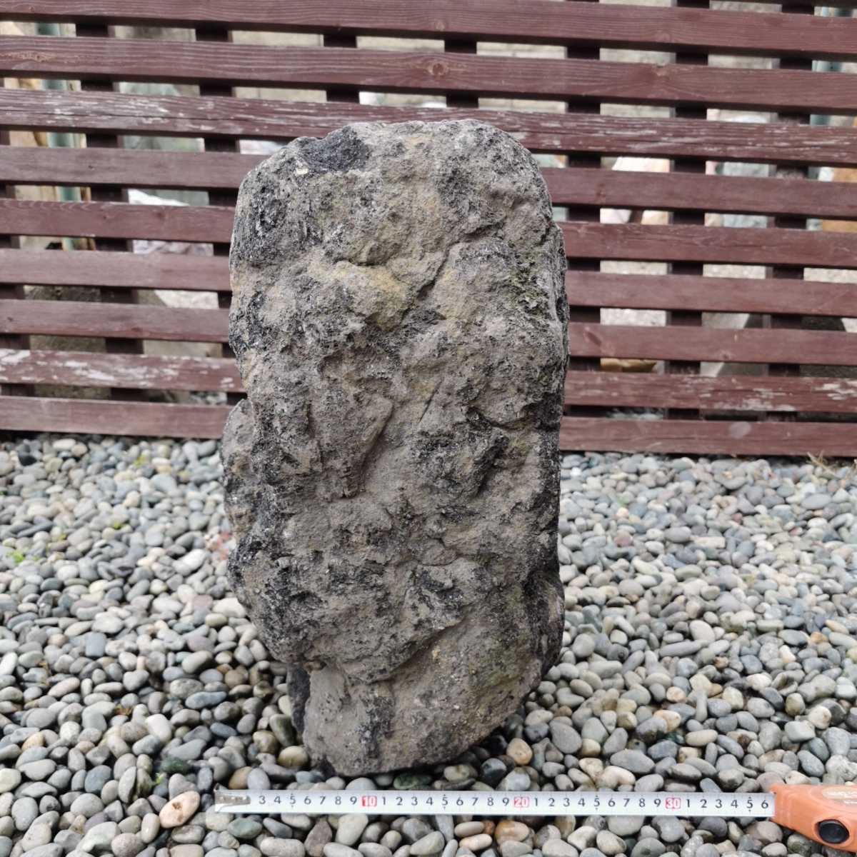 浅間溶岩石15.7キロ 庭石鑑賞石石盆石水石灯籠庭坪庭盆栽ガーデニング