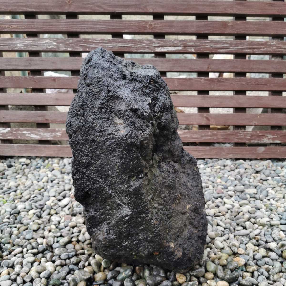 浅間溶岩石15.7キロ 庭石鑑賞石石盆石水石灯籠庭坪庭盆栽ガーデニング