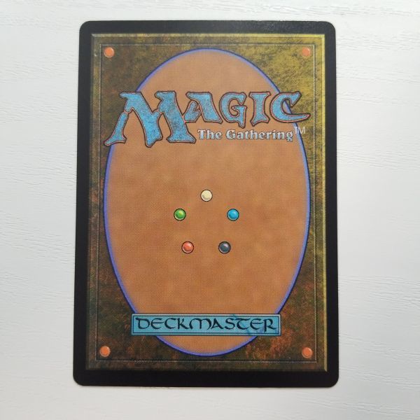 日本語 マット仕様 溢れかえる岸辺/Flooded Strand ZNE 2428 MTG