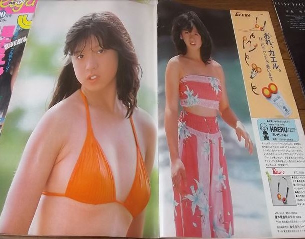☆80年代アイドル【中森明菜】ポスター＋水着切抜きセット 送料210円