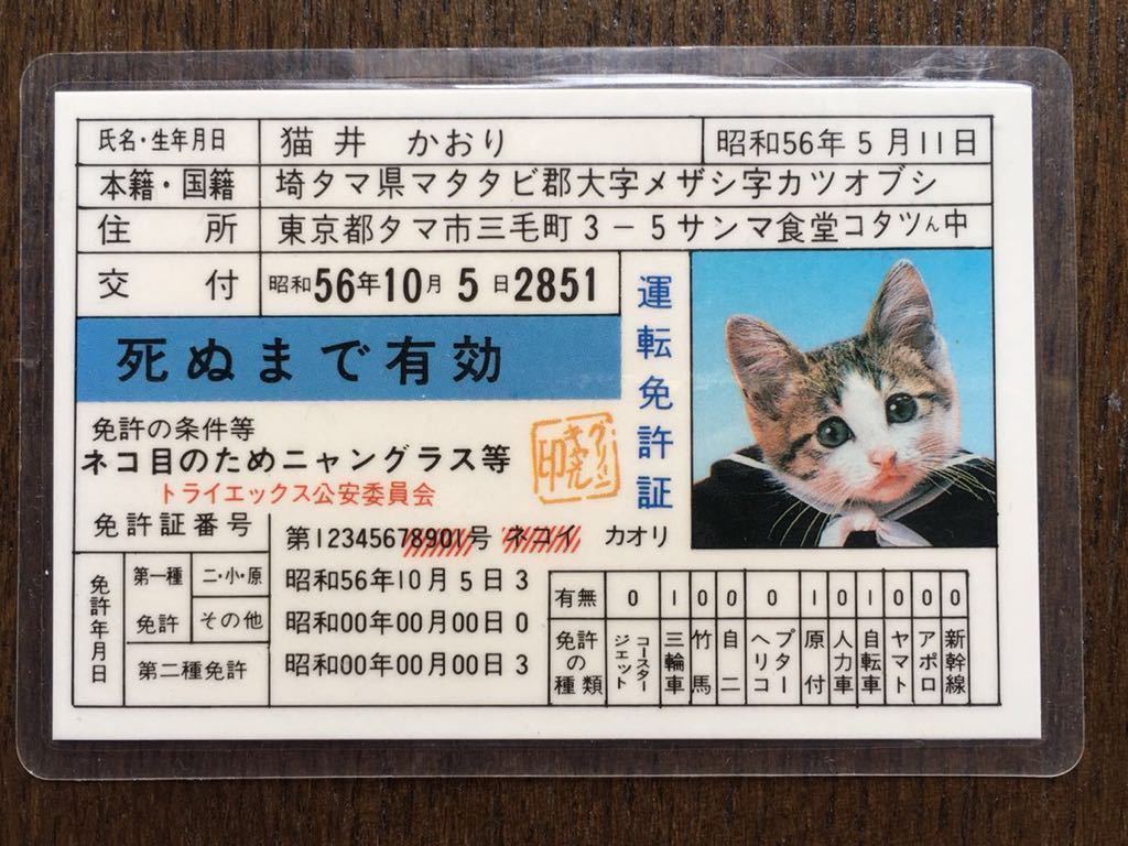 激安定番から人気の限定 なめ猫 小 Misterhome Ir