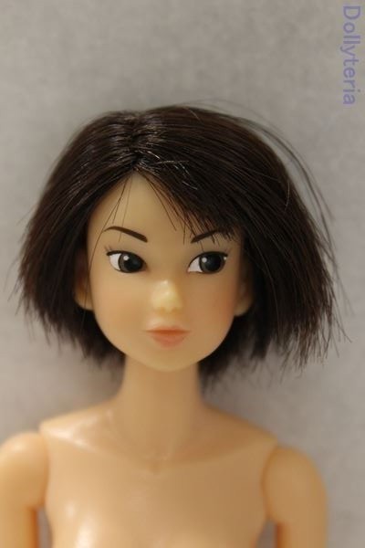 | momoko PetWORKs PW-momoko CCS Today's &frasl; DOLL 0 「Today's BAG HAPPY 22NY Information 23HB 22HB」詳細
