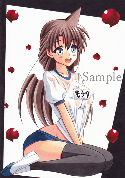 同人手描きイラスト 名探偵コナン 毛利蘭 蘭ねぇちゃん 体操服 ブルマ B5紙 手描きイラスト 売買されたオークション情報 Yahooの商品情報をアーカイブ公開 オークファン Aucfan Com