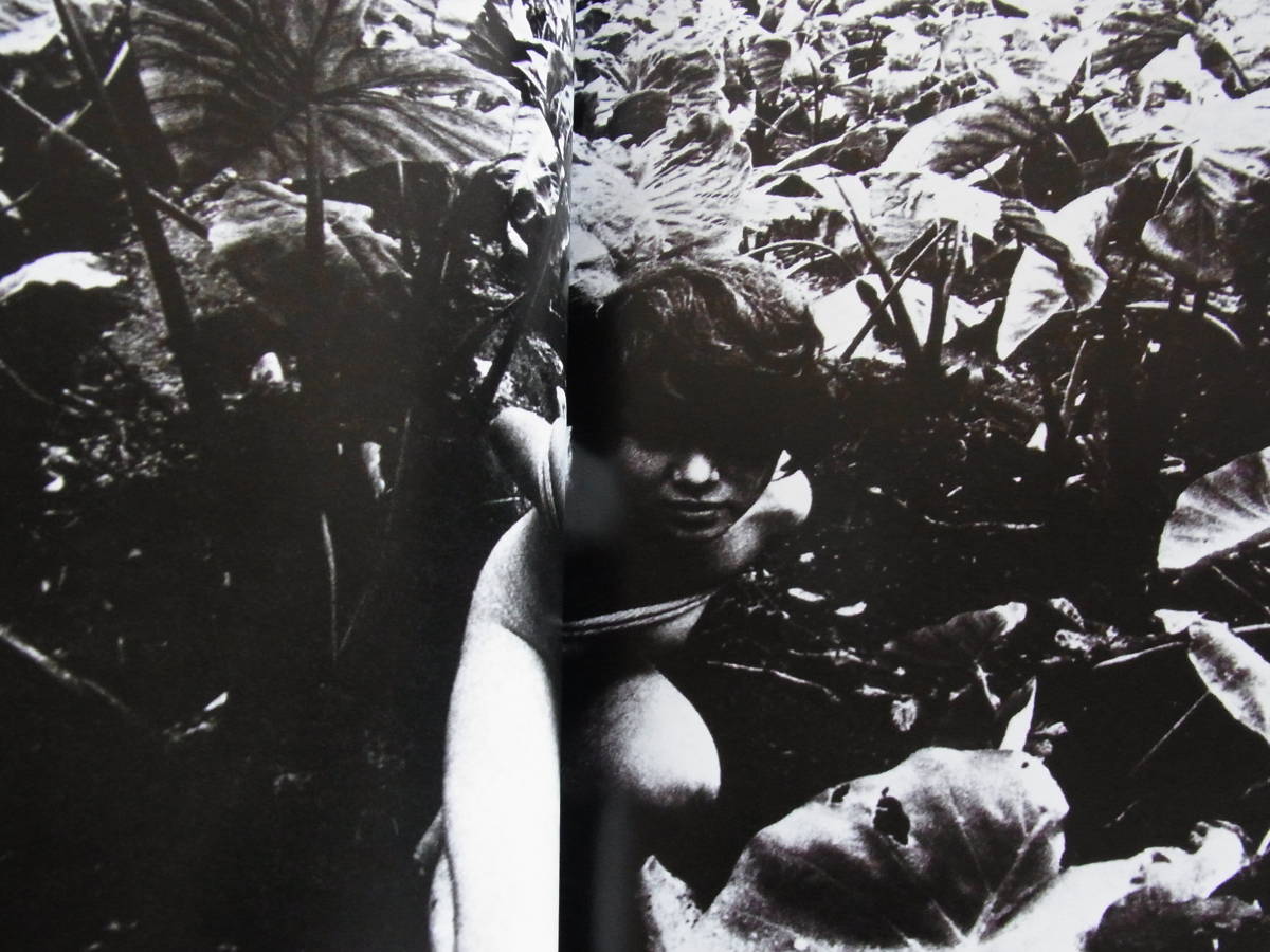 森山大道 KAGERO & COLORS 写真集 DAIDO MORIYAMA | & 森山大道