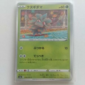 クヌギダマの値段と価格推移は 116件の売買情報を集計したクヌギダマの価格や価値の推移データを公開