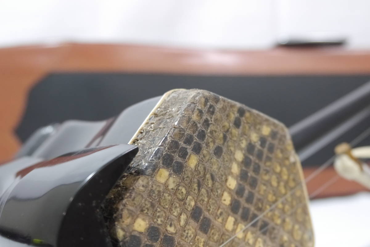 胡弓 民族楽器 練習用 皮張り