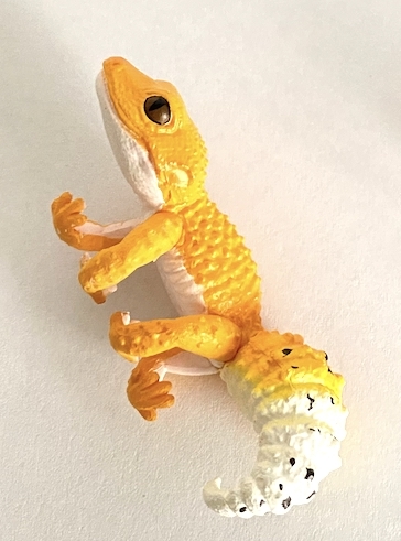 バウチャー レオパ 断捨離 タマオヤモリ オオサンショウウオ フィギュア Vina Com